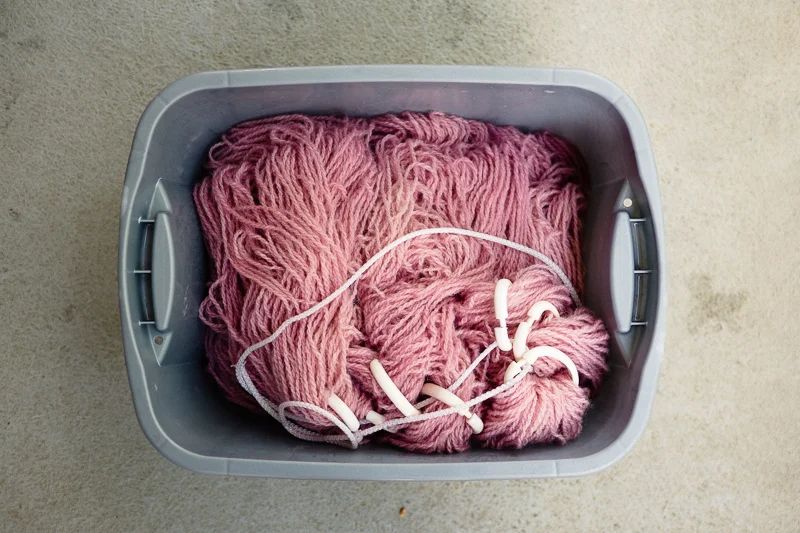 Drained and ready to dry.