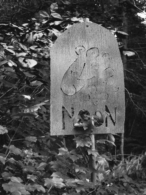 Welcome to Noon Family Sheep Farm