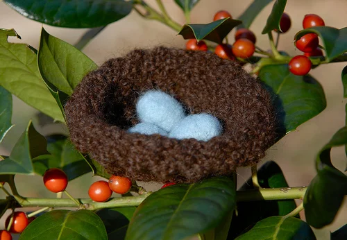 nest.jpg