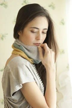 tricolor cowl.jpg